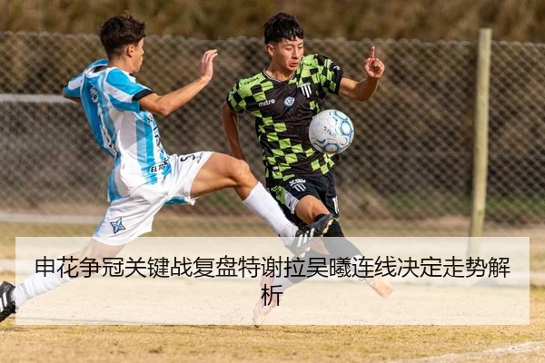 申花争冠关键战复盘特谢拉吴曦连线决定走势解析