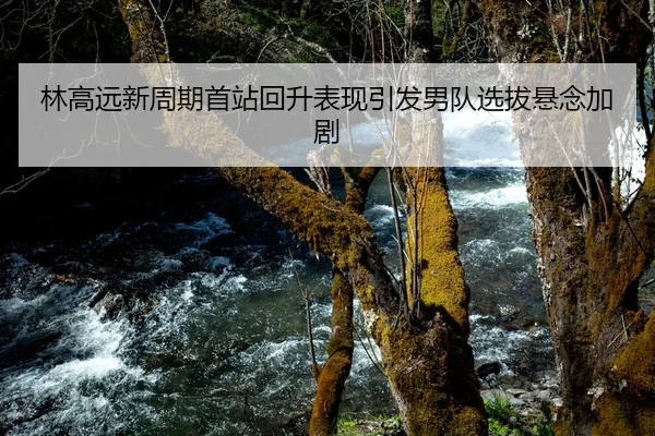 林高远新周期首站回升表现引发男队选拔悬念加剧